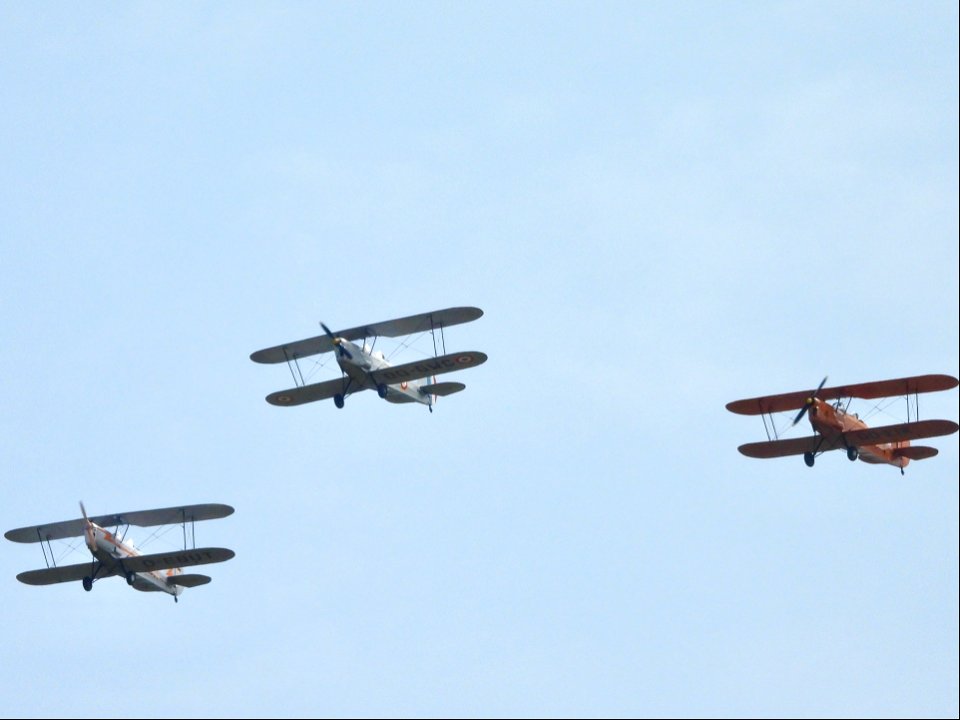 Stampe & Vertongen SV.4 formatie