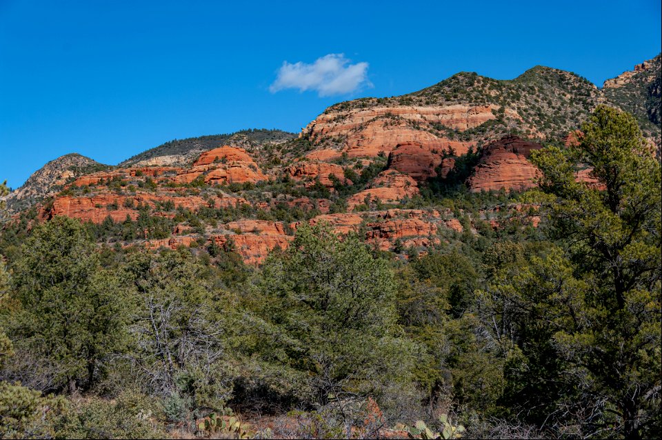 Loy Canyon Trail
