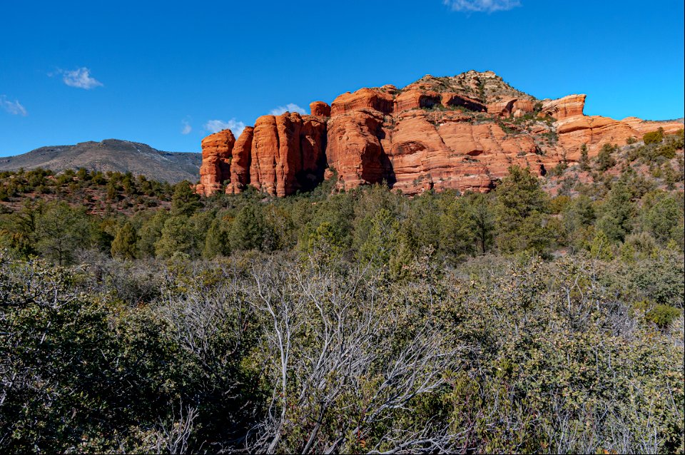 Loy Canyon Trail