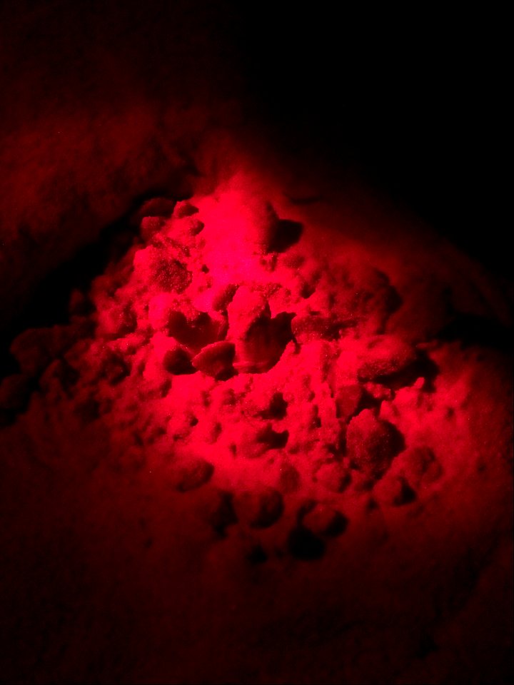 Red light photo of a sea turtle nest boil in progress, year 2016