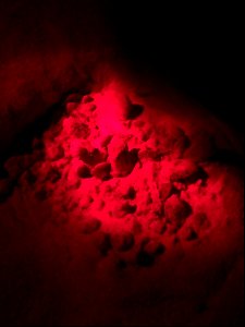 Red light photo of a sea turtle nest boil in progress, year 2016