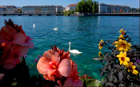 Genève