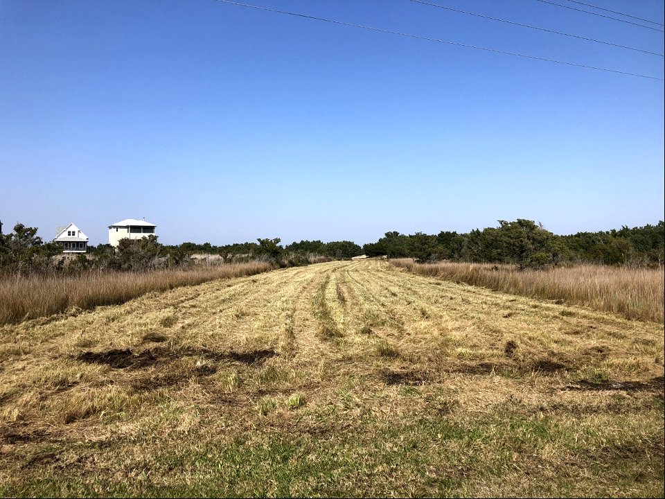Ocracoke Fuel Break 2021