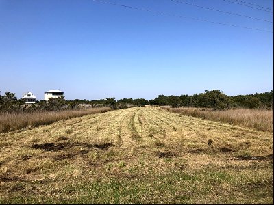 Ocracoke Fuel Break 2021