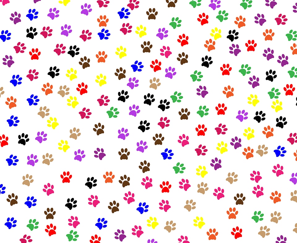 Paw Prints Background