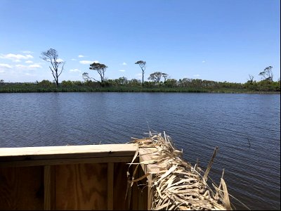 View from the Bodie Island Marsh Blind