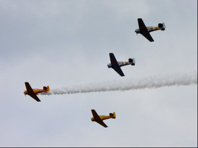 SNJ/Texan/Harvard formation