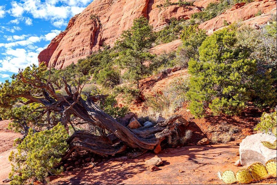 Mitten Ridge (Cow Pies and Hangover Trails)