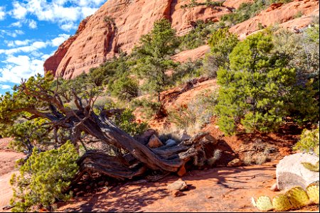 Mitten Ridge (Cow Pies and Hangover Trails)