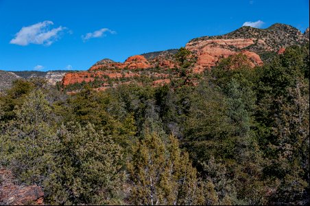 Loy Canyon Trail