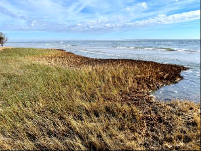 North tip of Ocracoke Island (facing Hatteras Inlet from the northeast corner of the island).