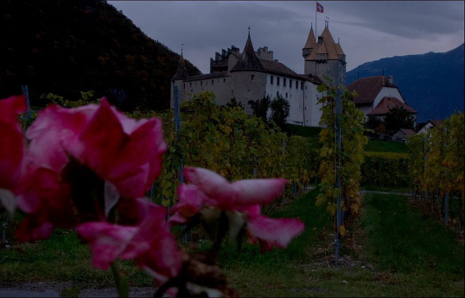 Château de Aigle photo