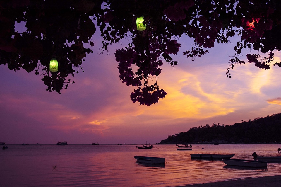 Cute Lights at Sunset