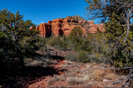 Loy Canyon Trail