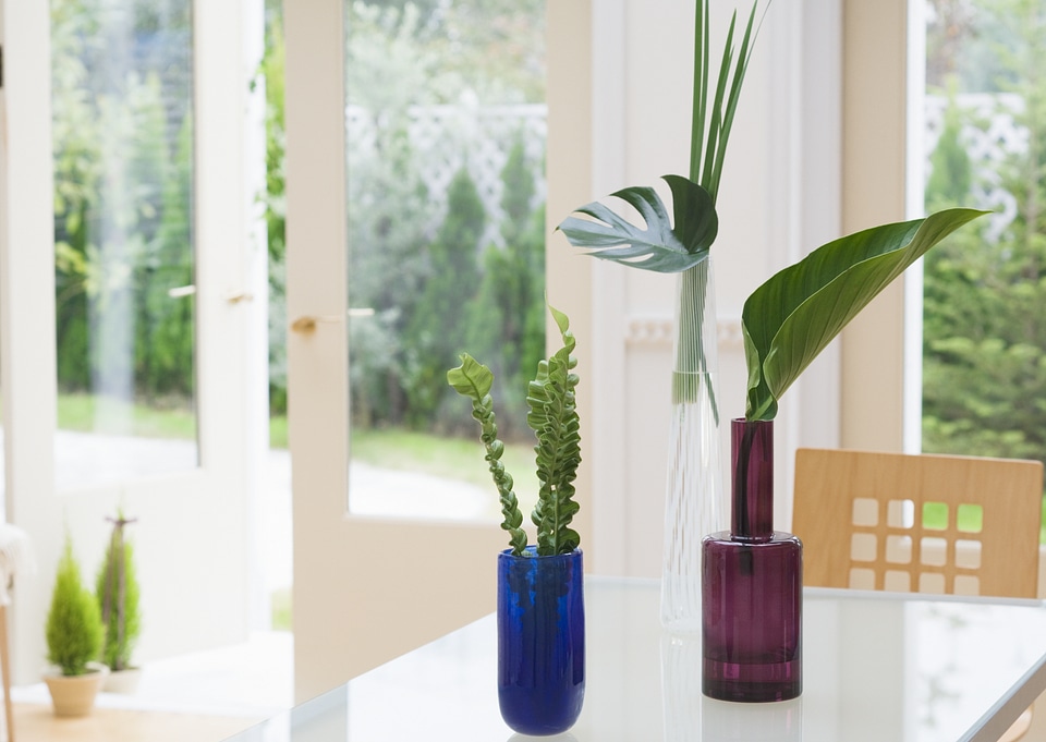 Vase in Green Spadix on table