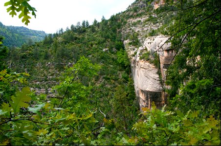 Little L.O. Trail No. 6
