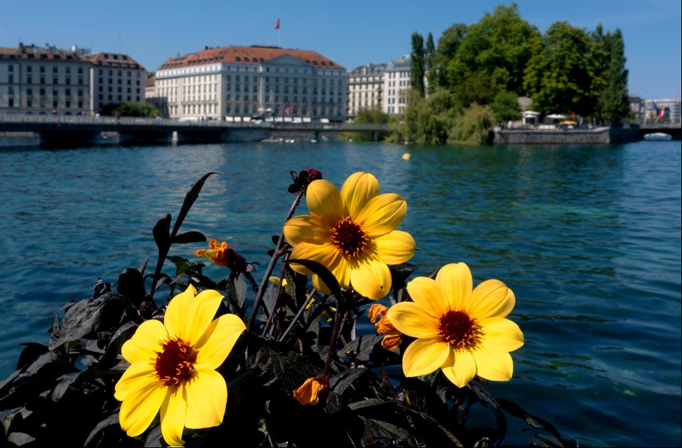 Genève