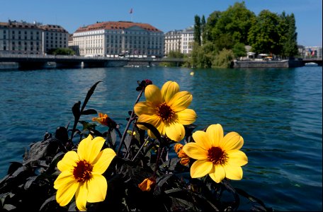 Genève