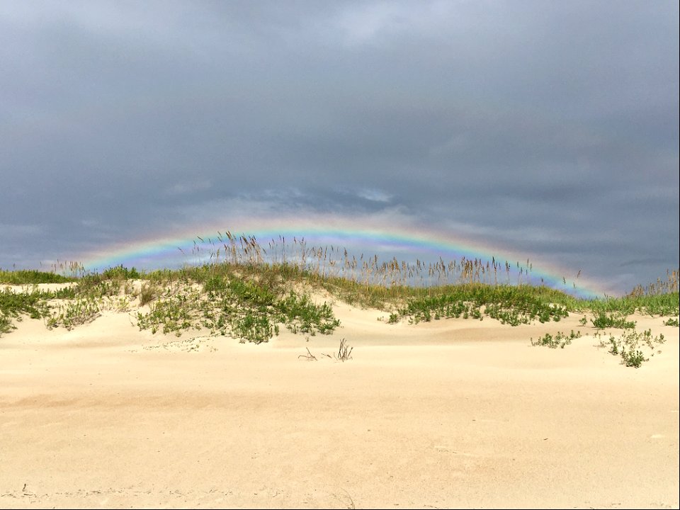 Rainbow over dune