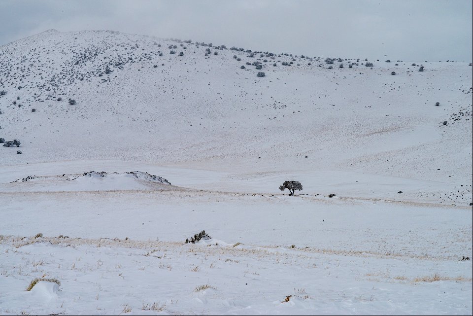 Winter in the Cinder Hills