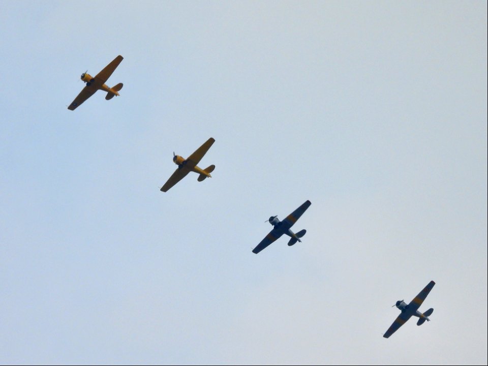 SNJ/Texan/Harvard formation