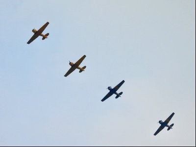 SNJ/Texan/Harvard formation