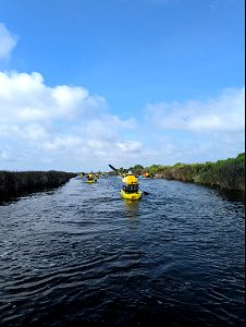 Kayak with a Ranger program photo