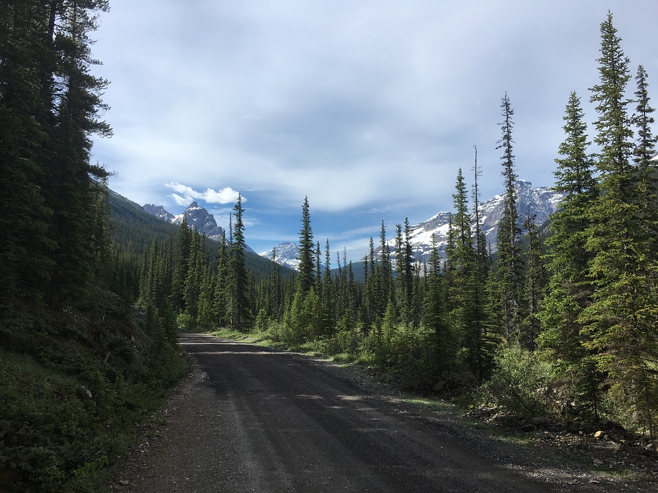 hiking trail in Opabin Plateau above Lake Ohara