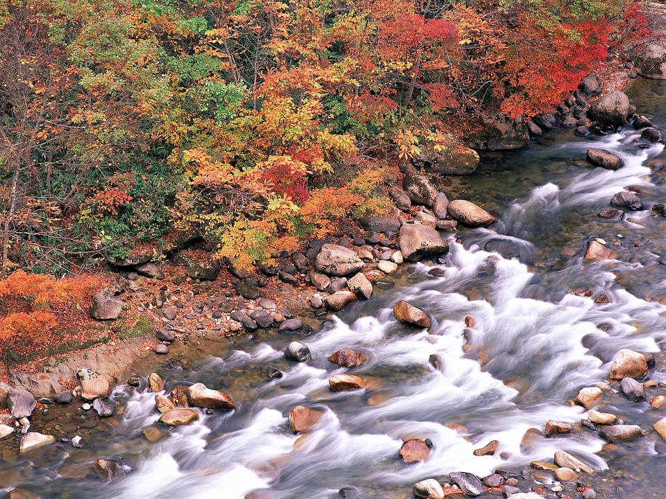 Autumn - mountain river caught with long exposure photo