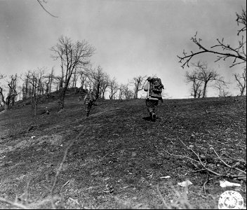 SC 270851 - Infantrymen of the 3rd Bn., 87th Mtn. Inf., 10th Mtn. Div., moving up to take new positions with their mortars during an attack near Abetia. 1 March, 1945.