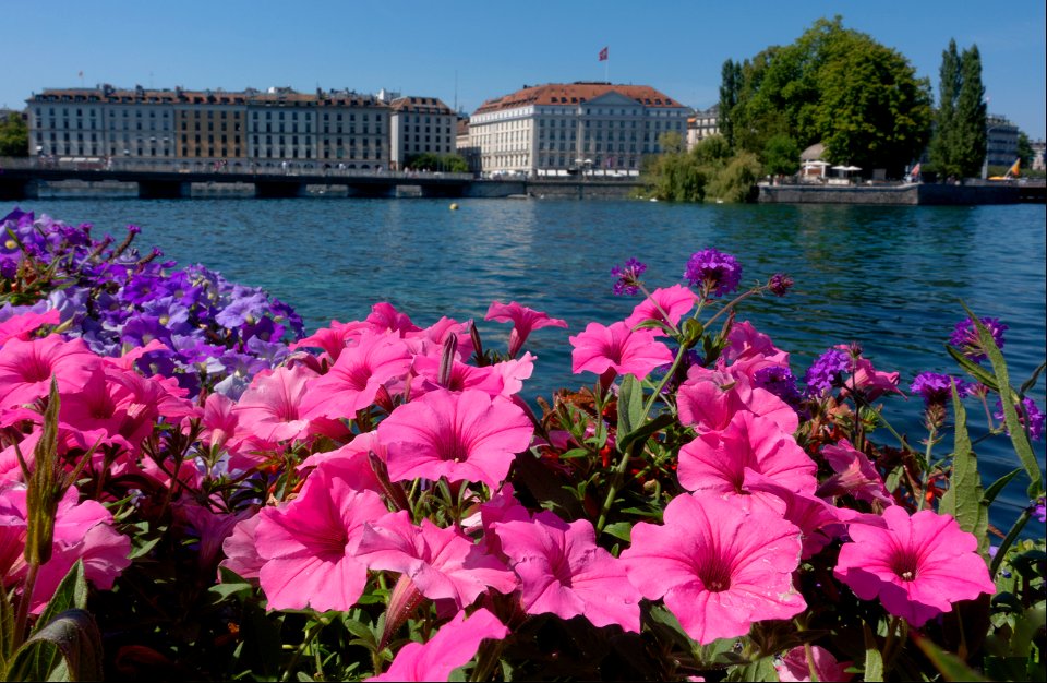 Genève