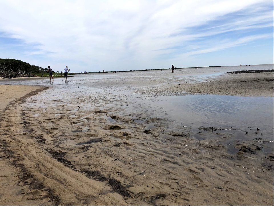 Low water level at Salvo Sound Access