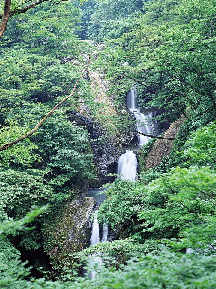 Cascade falls over mossy rocks