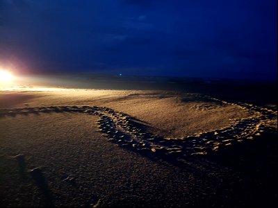 A loggerhead sea turtle false crawl on South Point