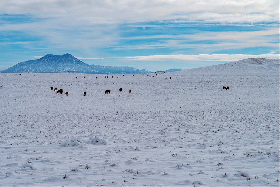 Winter in the Cinder Hills