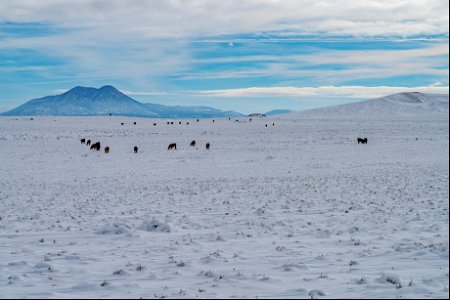 Winter in the Cinder Hills