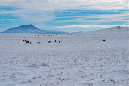 Winter in the Cinder Hills photo