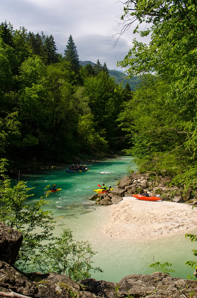 River rafting in the forests