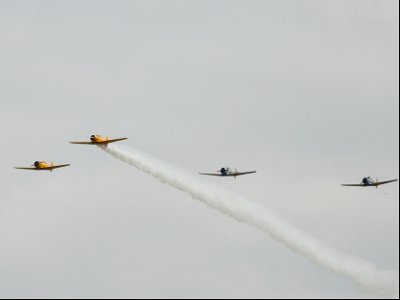 SNJ/Texan/Harvard formatie