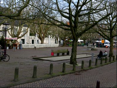 Winter trees in the city, at the square Amstelveld; free photo Amsterdam, photo