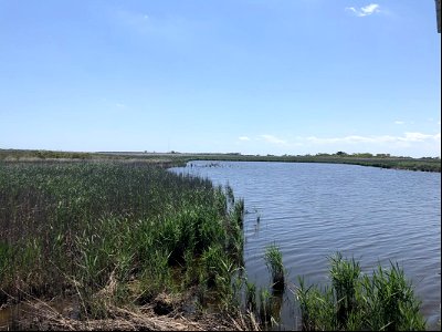 View from the Bodie Island Marsh Blind photo