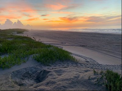 Sunrise over our most recent sea turtle nest - this green sea turtle nest is just north of Ramp 70