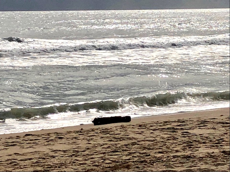 Potential UXO in Buxton, NC 10-22-2020