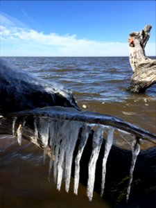 Winter scene from the sound side near the near the Little Kinnakeet Lifesaving Station photo