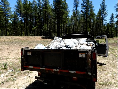 Pickin' Up in the Pines May 2022