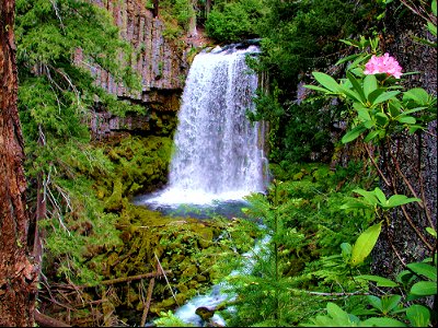 falls-springjpg_49364637162_o
