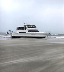 Vivens Aqua 01-29-2022