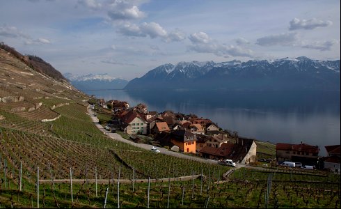 Riex, Lavaux
