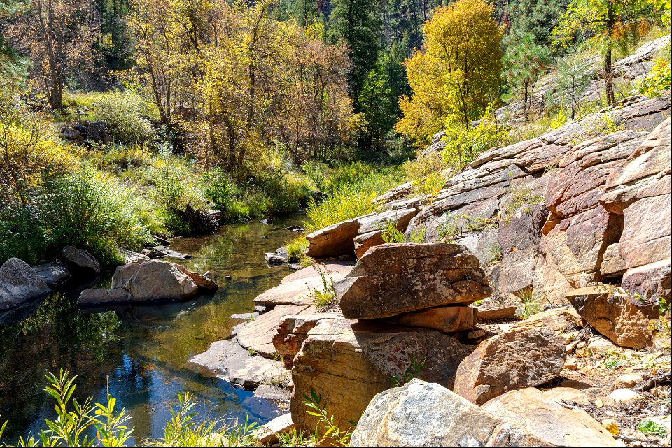 Autumn on the Mogollon Rim