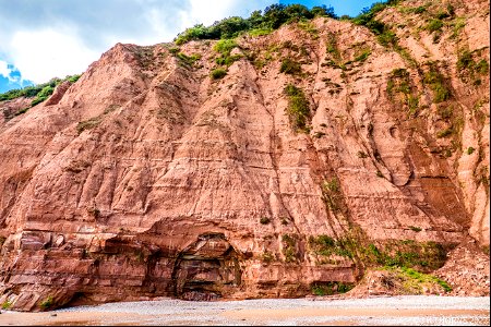 Sandstone Cliffs Sidmouth